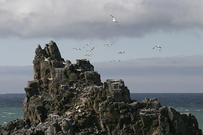 CRW_0584_RT8.jpg