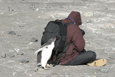 Bob and Chick 0926