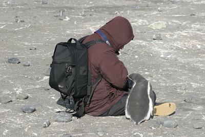 Bob and Chick 0928