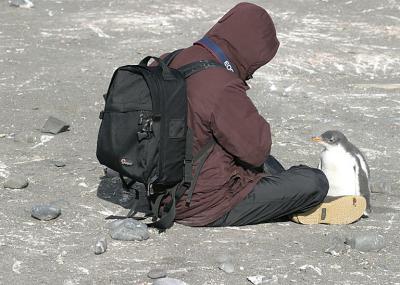 Bob and Chick 0934