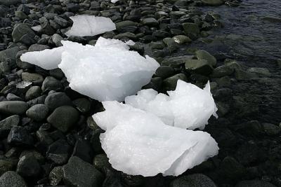 CRW_9685_RT8.jpg