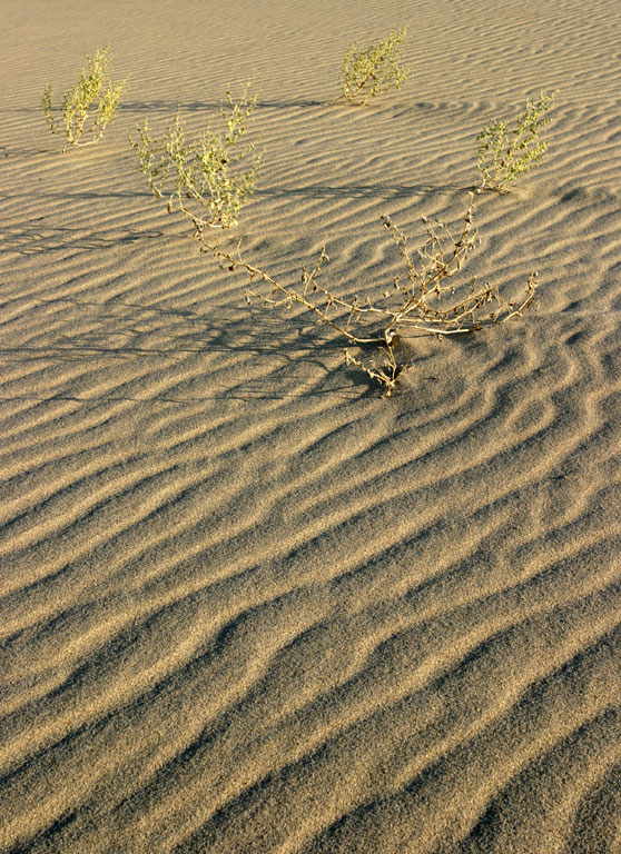 EurekaDunes_3443