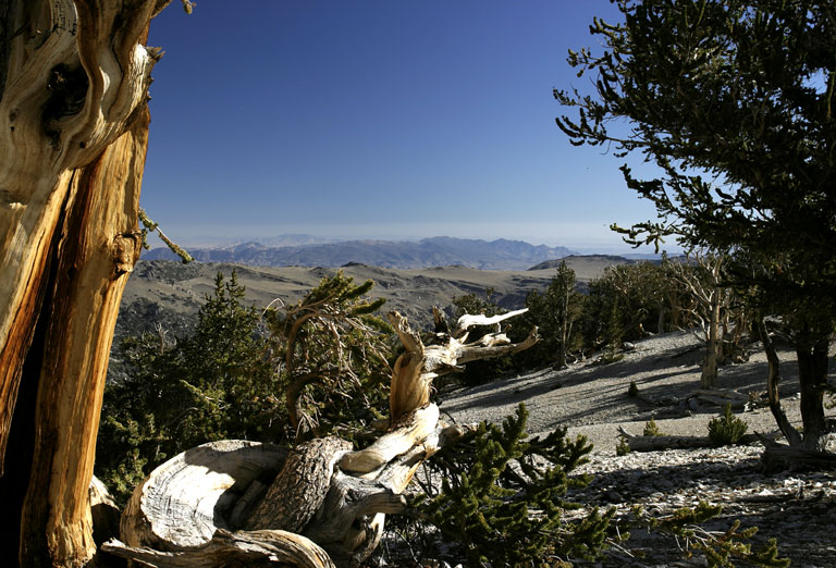 CRW_3405_RT8.jpg