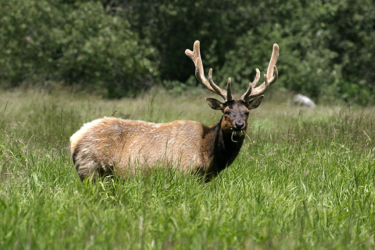 CRW_5012_RT8.jpg