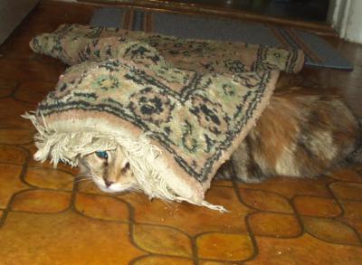 Peekaboo!!