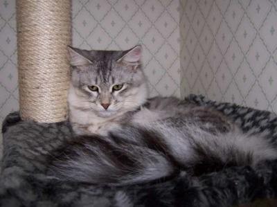 100_0670001.jpg