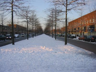 IMG_0076.JPG