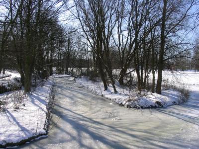Winter 2005IMG_0021.jpg