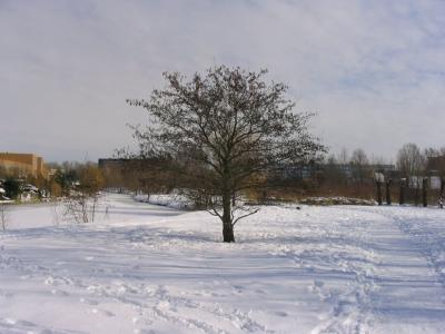 Winter 2005IMG_0027.jpg