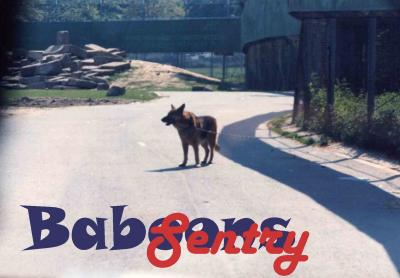 baboonsSENTRYcd.jpg