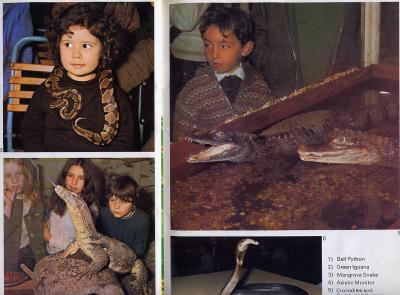 MEDWDSreptiles.JPG