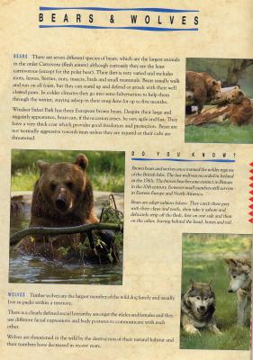 bearsJJ.JPG