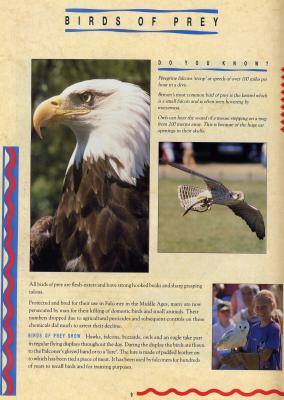 birdsOFpreyJJ.JPG