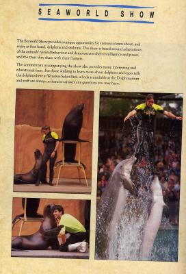 seaworldJJ.JPG