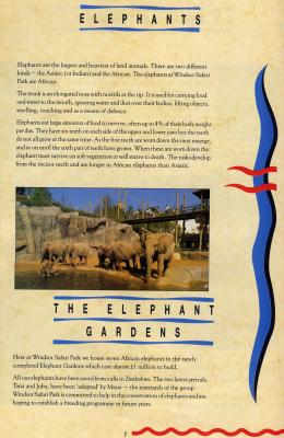 elephantsJJ.JPG