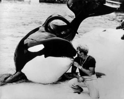 AnimalsRamuSeaWorldFloridap.jpg