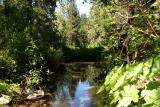 Stream running through Central Camp