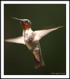 Flicker