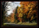 IMG_1489mar.jpg