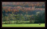 IMG_1491mar2.jpg
