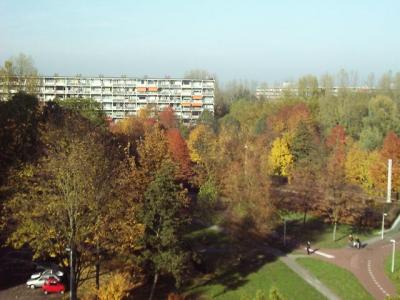 u35/frederik/medium/23097018.BackApartment.Autum.jpg