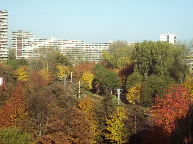 Back Apartment. Autum.