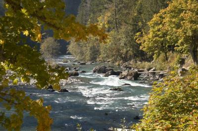 Elwha River Looking Down River.
