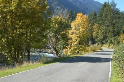 Road along Elwha River.