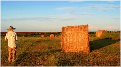 The Land