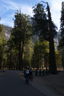 Yosemite_CA05