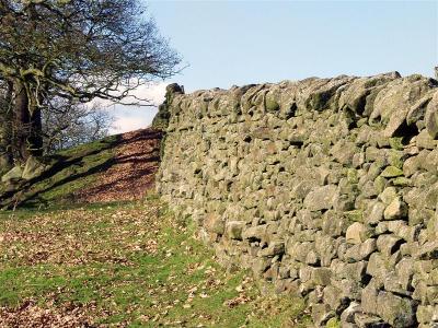 Dry Stone Wall - Bolton Abbey