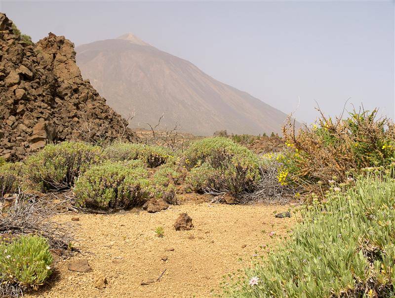 Teide National Park