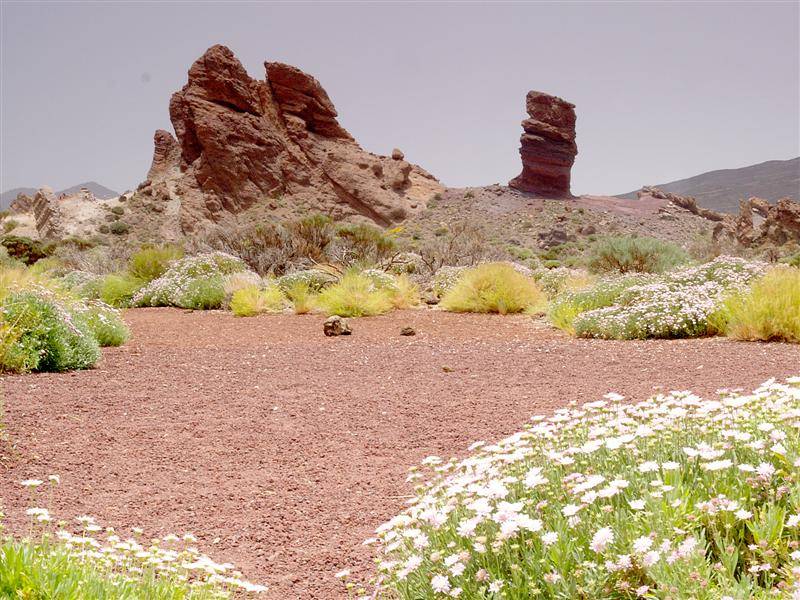 Teide National Park