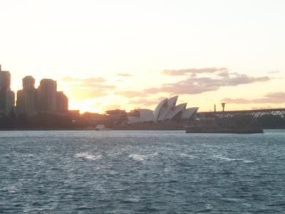 Ferry Rides