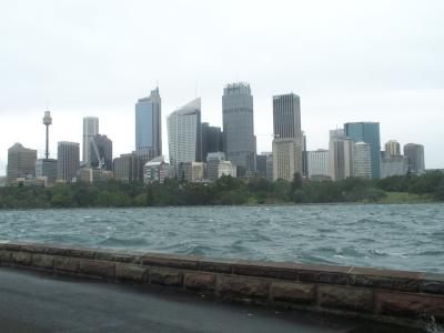 Skyline from Palm Cove.jpg