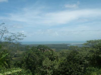Alexandra Lookout.jpg