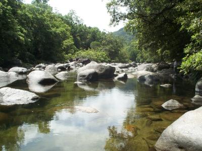 Mossman Gorge.jpg