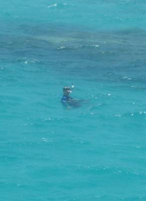 Snorkeling Fool.jpg