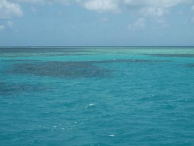 u35/gizmo13/medium/23417671.TheGreatBarrierReef.jpg