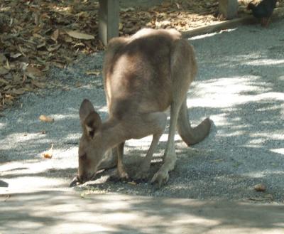Feeding Time 3.jpg