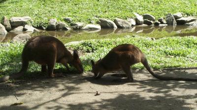 Feeding Time 4.jpg