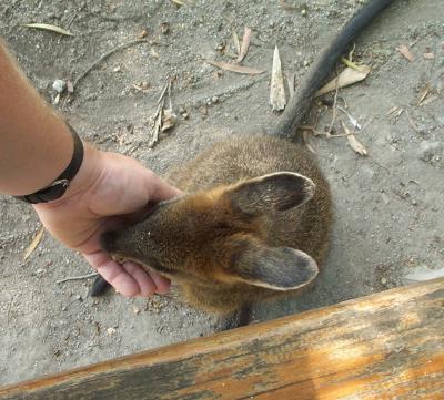 Feeding Time 6.jpg