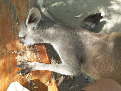 Feeding Time 7.jpg