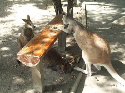 Feeding Time 9.jpg