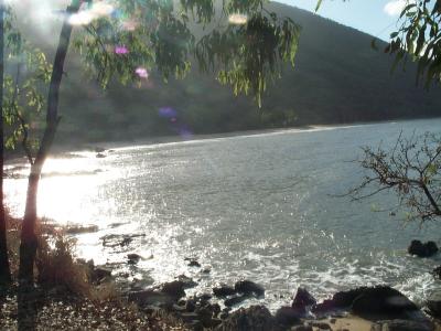 Ellis Beach 1.JPG