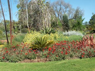 Botanic Gardens - Conservation Garden.jpg