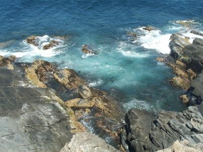 Fur Seals 5.jpg