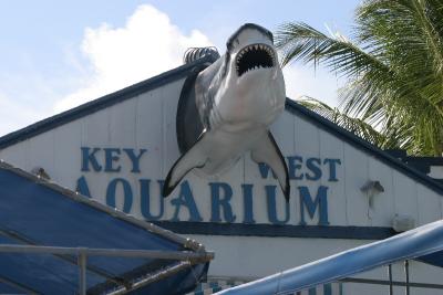 Key West Aquarium - not Baltimore but it was OK