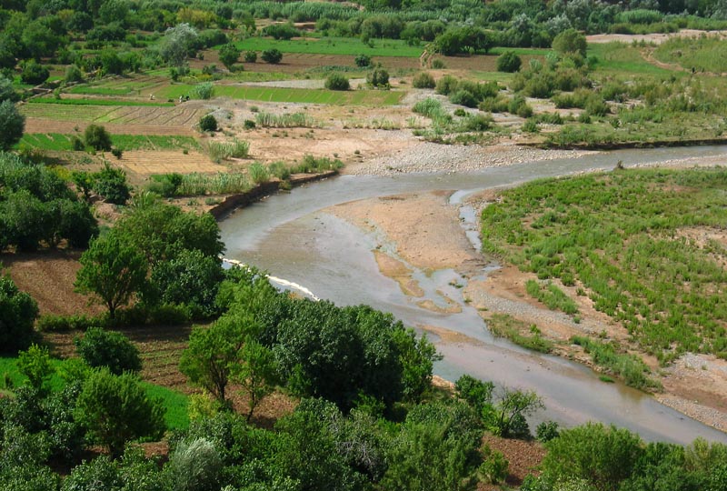 Oued lgoum