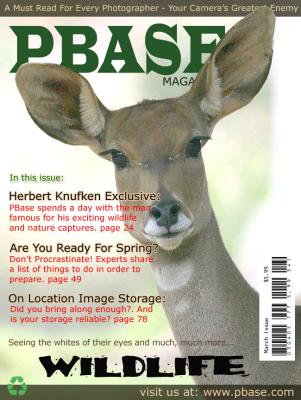 March 2005 Cover B